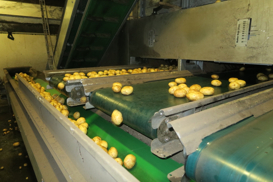4749 WYMA Rollensortierer für Kartoffel / Zwiebel
