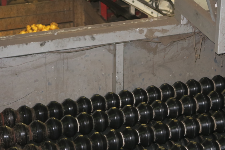 4749 WYMA Rollensortierer für Kartoffel / Zwiebel