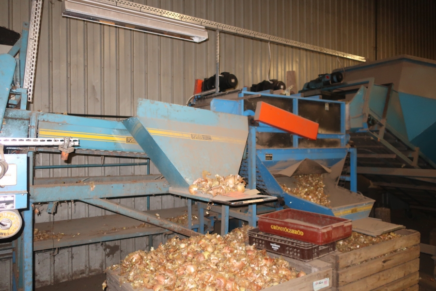 4756 EMVE grading line with receiving hopper