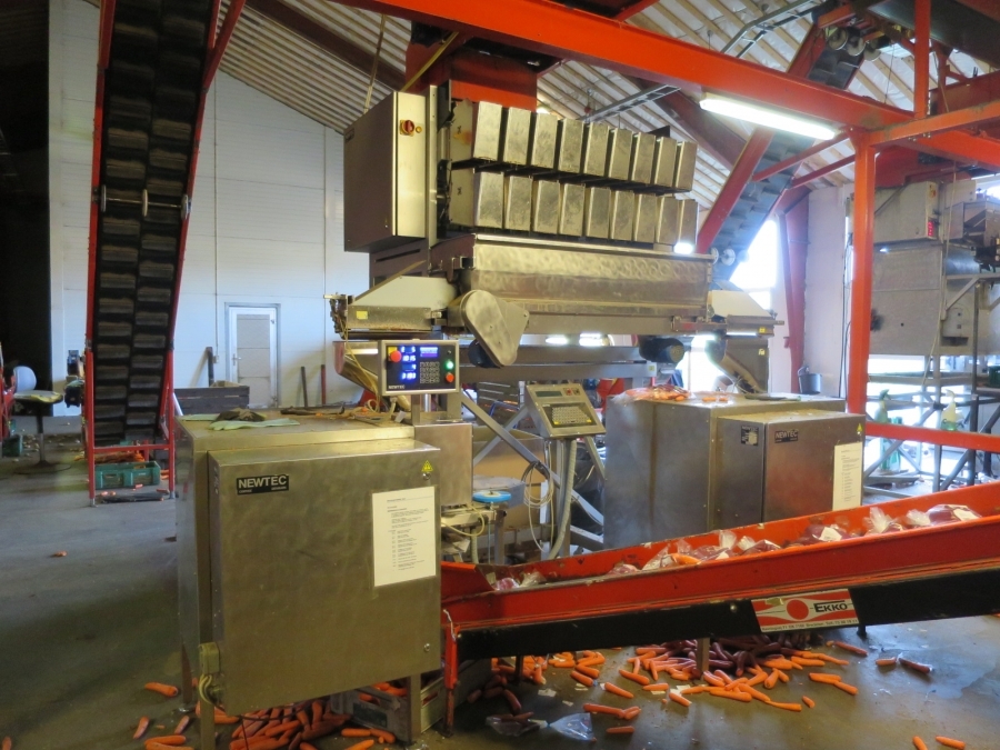 4768 Newtec 3009 Waage mit Verpackungsmaschinen für Möhren