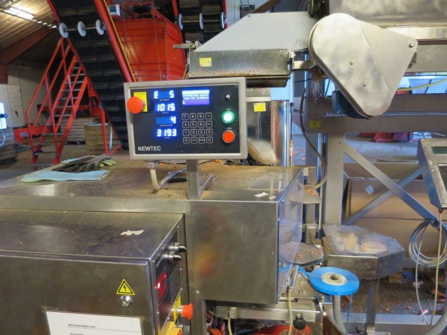 4768 Newtec 3009 Waage mit Verpackungsmaschinen für Möhren
