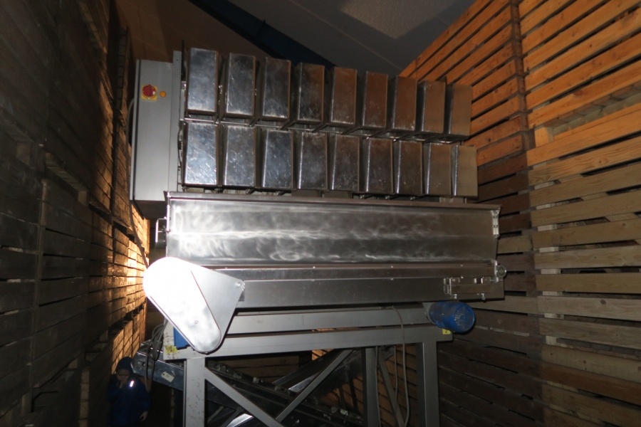 4768 Newtec 3009 Waage mit Verpackungsmaschinen für Möhren