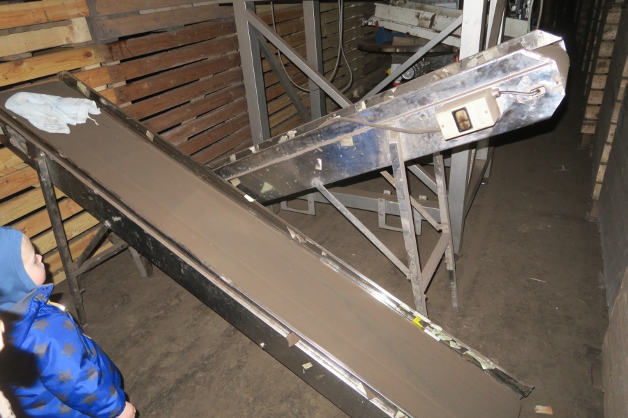 4768 Newtec 3009 Waage mit Verpackungsmaschinen für Möhren