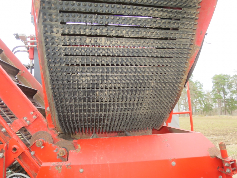 4774 Dewulf GBC carrot harvester 1 row with 3 ton bunker