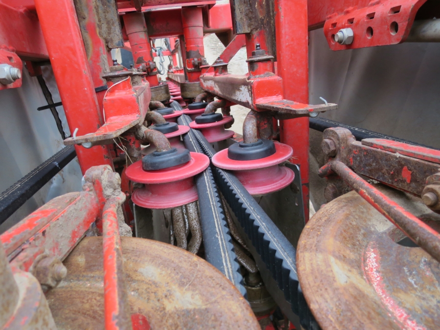 4774 Dewulf GBC carrot harvester 1 row with 3 ton bunker