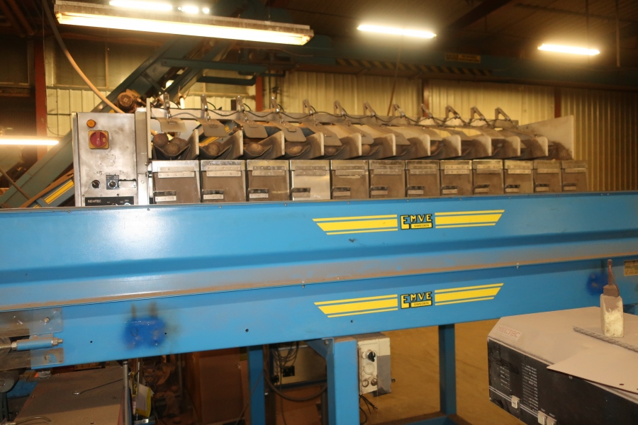 4785 NEWTEC 2012B mit EMVE BE5000 Papiertütemaschine