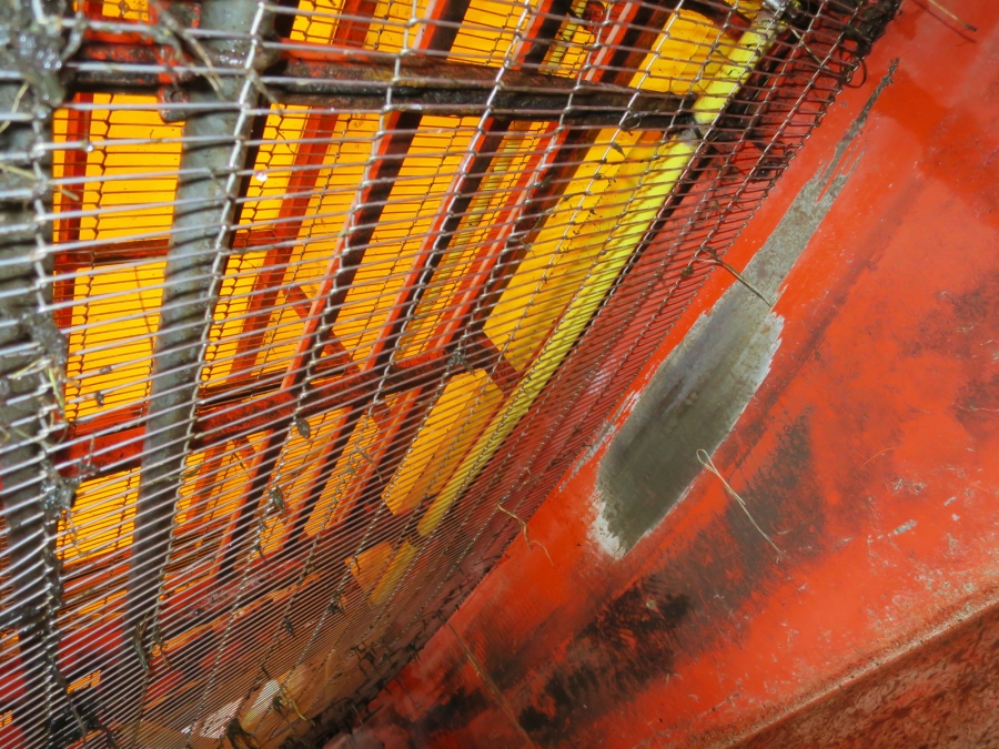4834 EKKO bunch washer to bunched vegetables