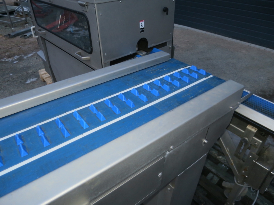 4906 Tenrit peeling line for carrots etc