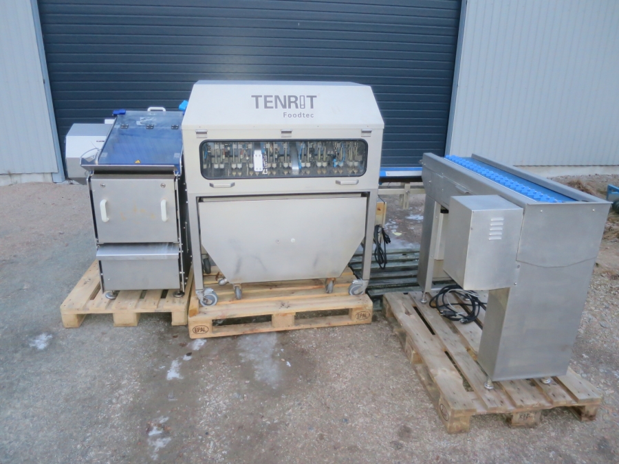4906 Tenrit peeling line for carrots etc