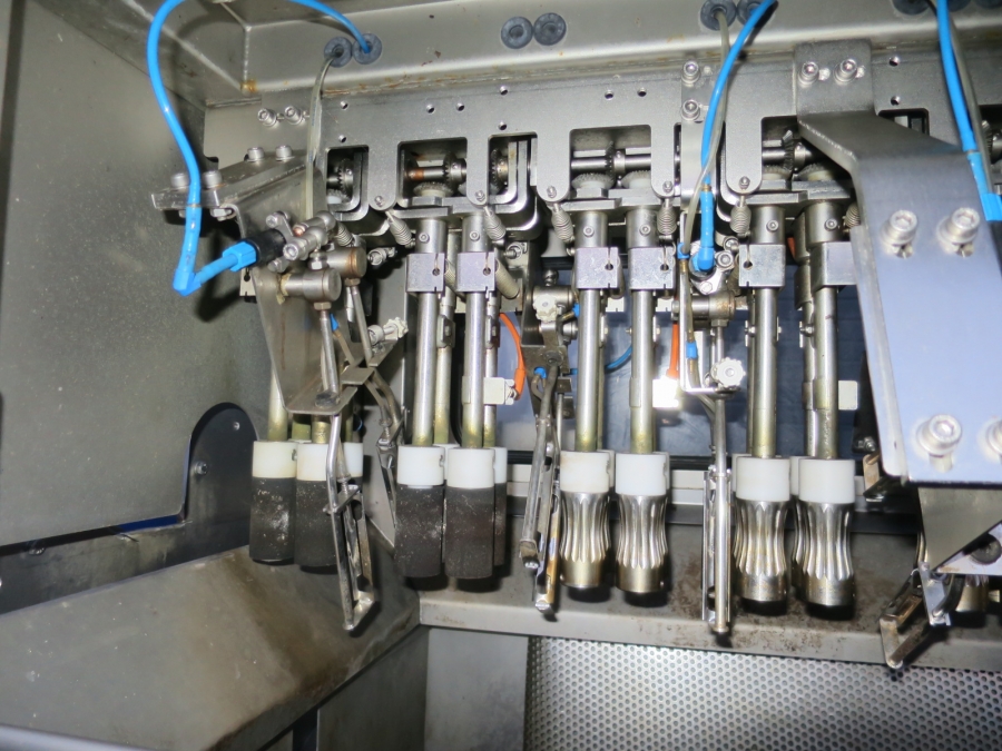 4906 Tenrit peeling line for carrots etc
