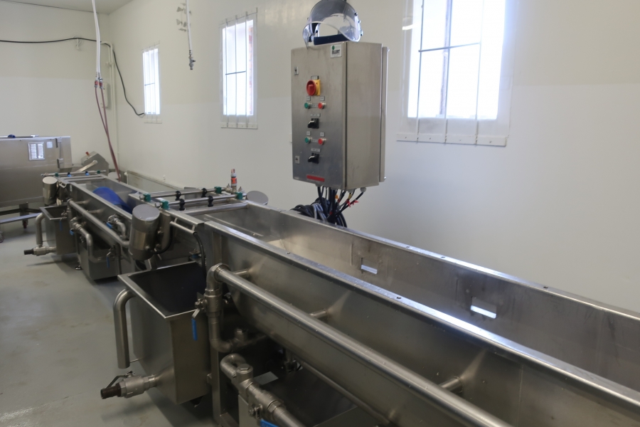 4975 Eillert washer for leafy vegetables