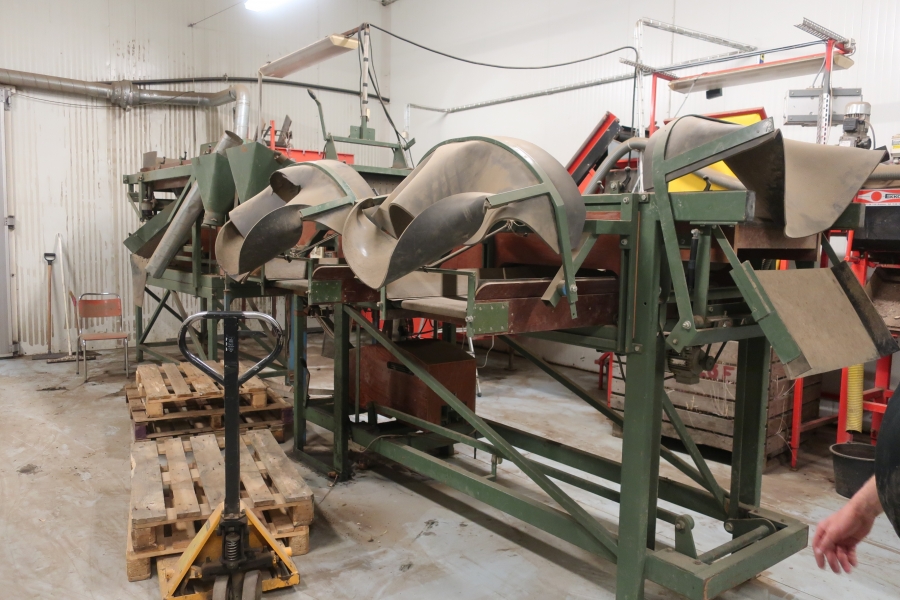 5016 Compas potato sorting line