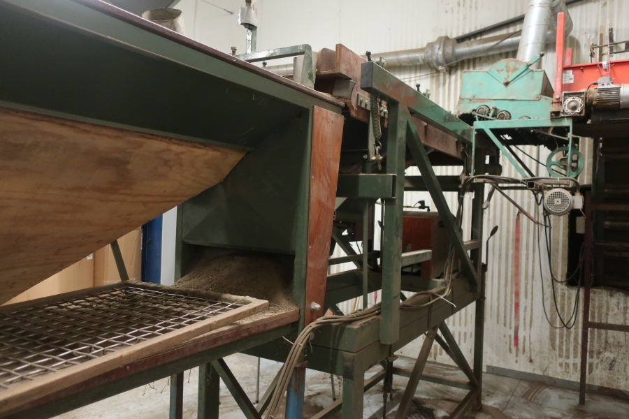 5016 Compas potato sorting line