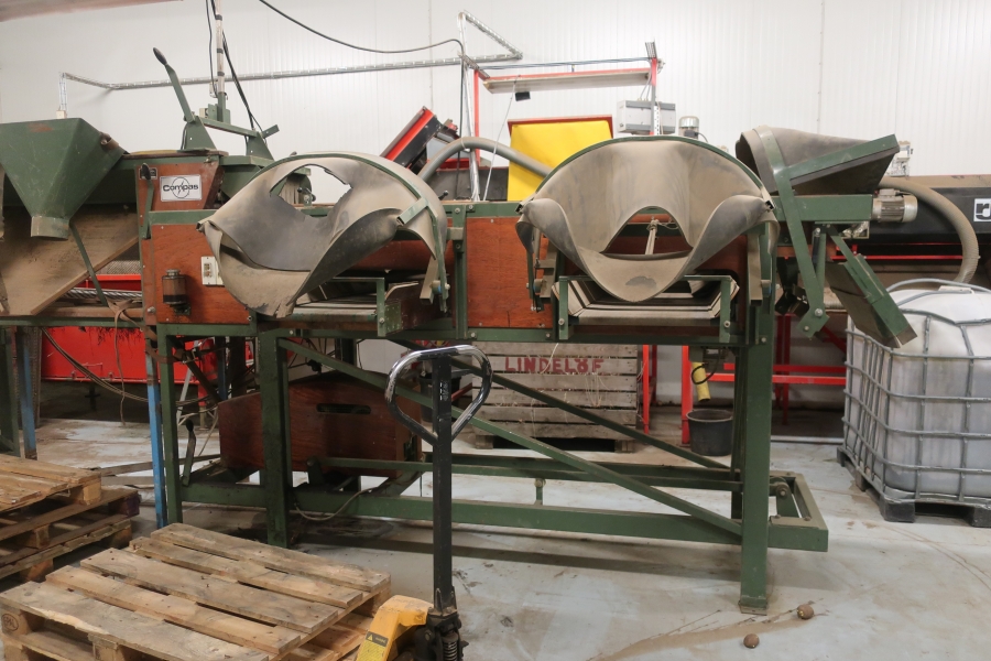 5016 Compas potato sorting line