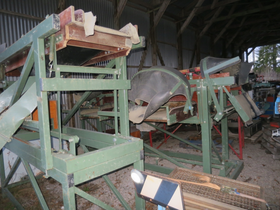 5016 Compas potato sorting line