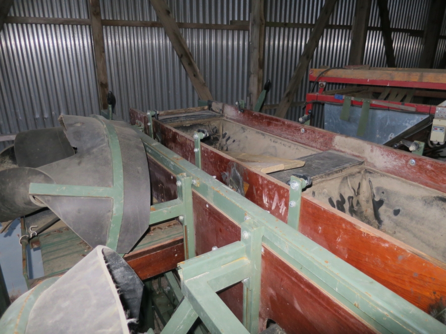 5016 Compas potato sorting line