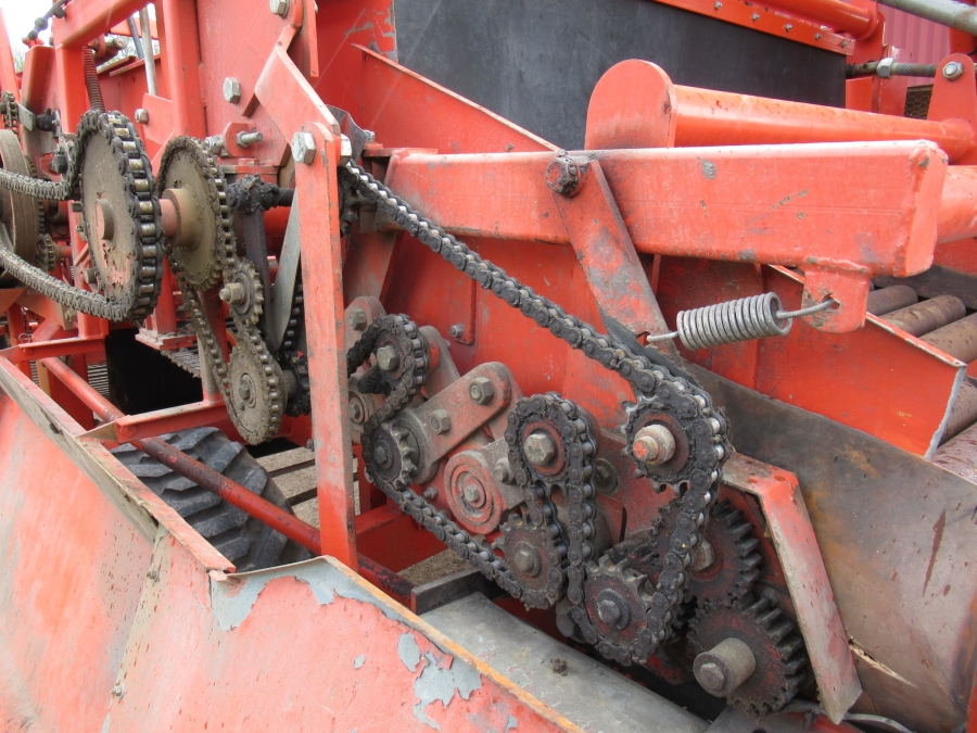 5026 AMAC E2 potato harvester / onion harvester