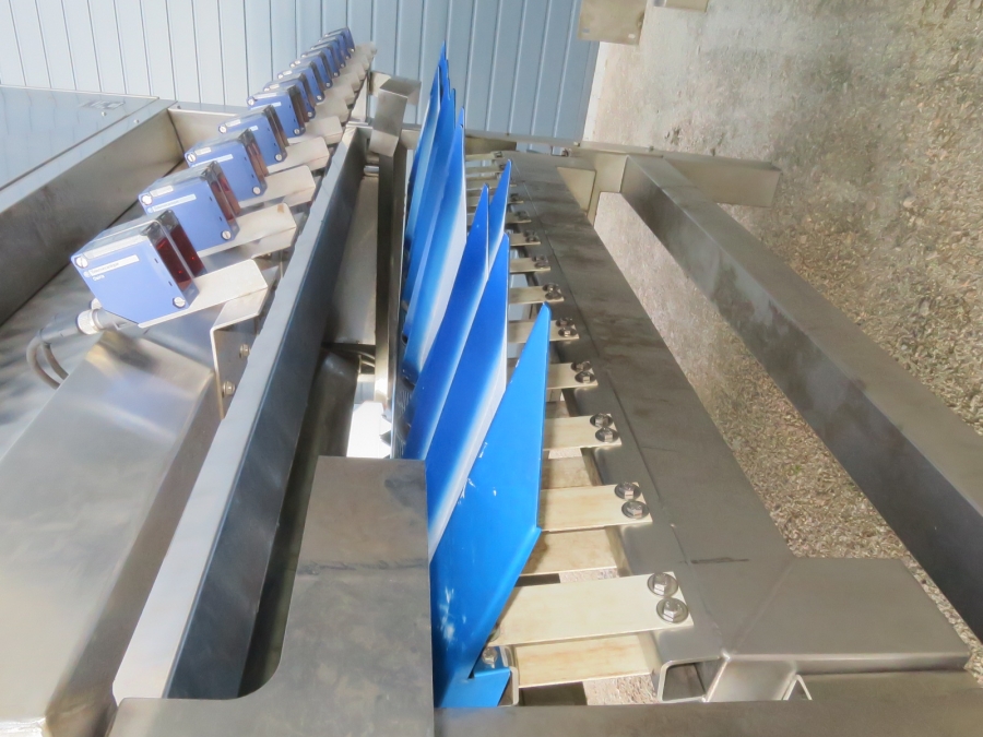 5080 Newtec Celox optical potato sorter grader