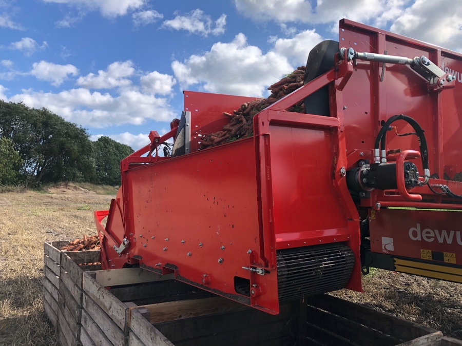 5162 Dewulf GBC carrot harvester