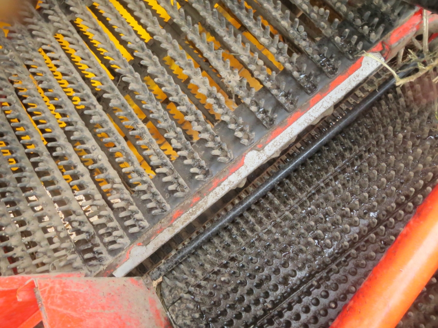5169 Grimme SE75-40 potato harvester