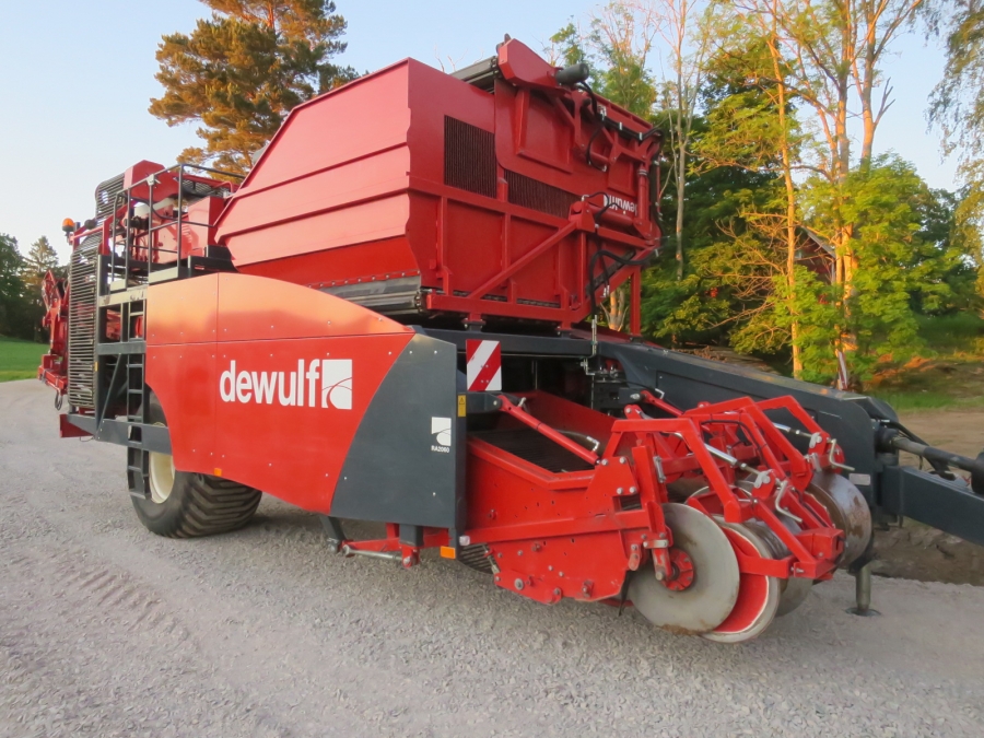 5231 Dewulf RA2060 potato harvester