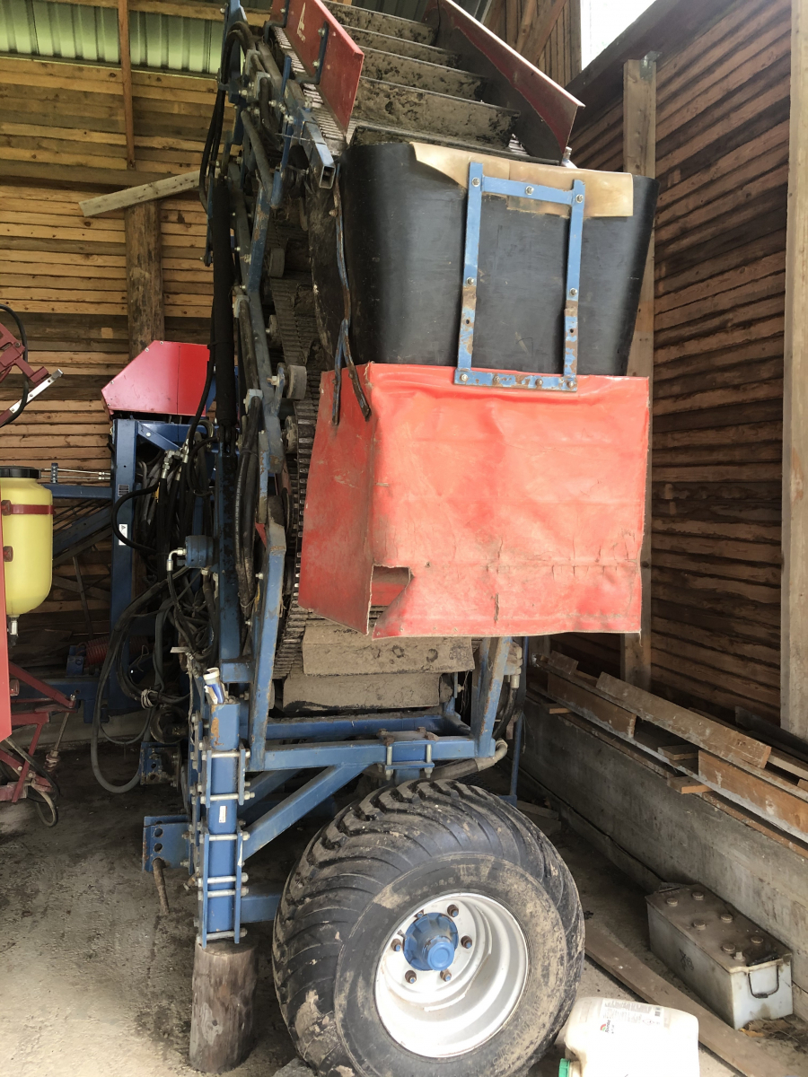 5265 Asa-Lift combi-1000 carrot harvester with elevator