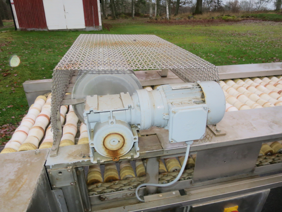 5292 Dornow potato halving machine for potato