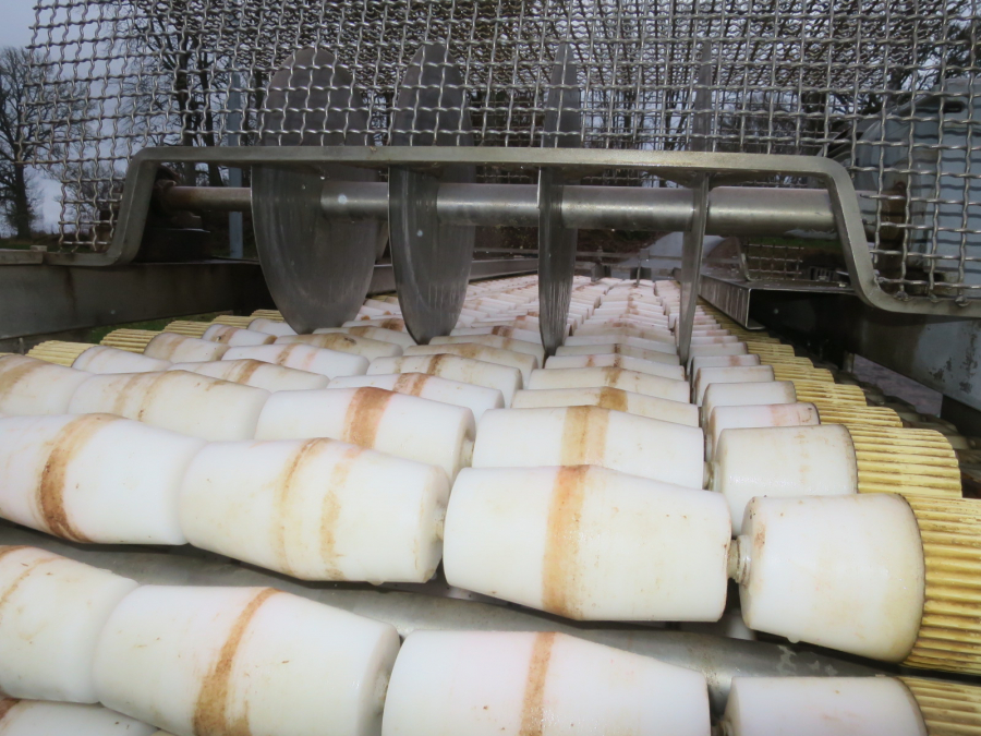 5292 Dornow potato halving machine for potato