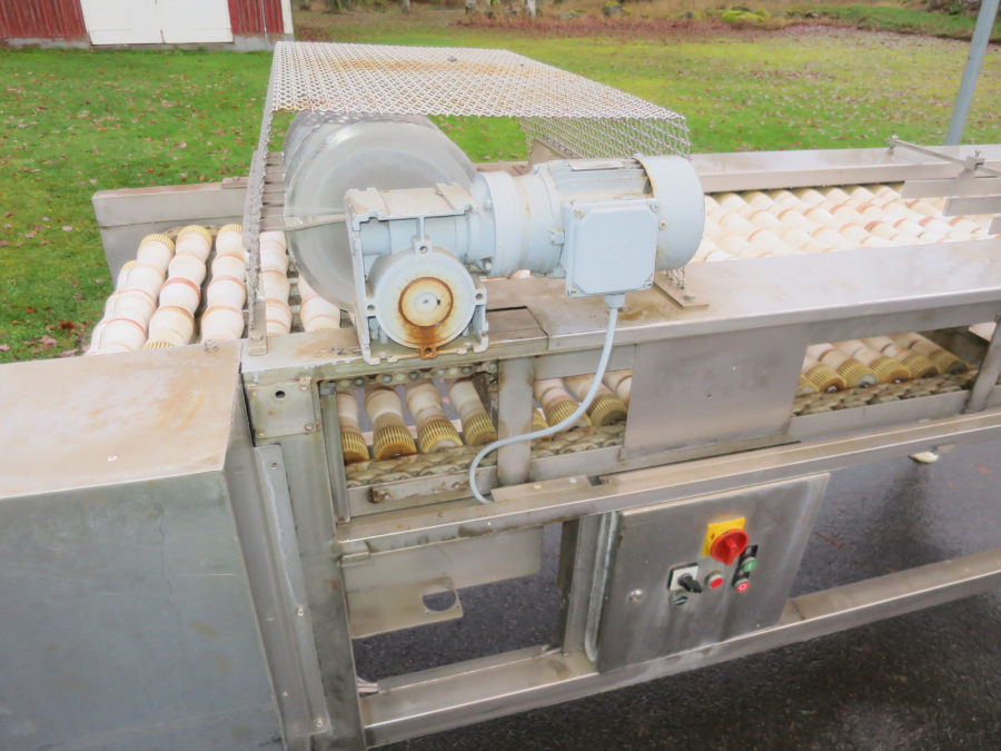 5292 Dornow potato halving machine for potato