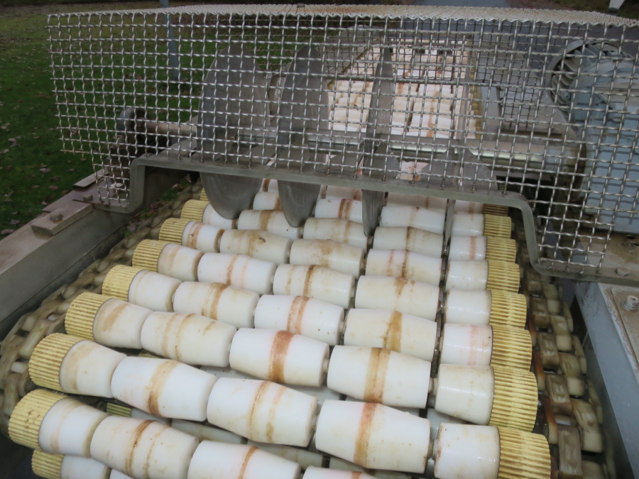 5292 Dornow potato halving machine for potato