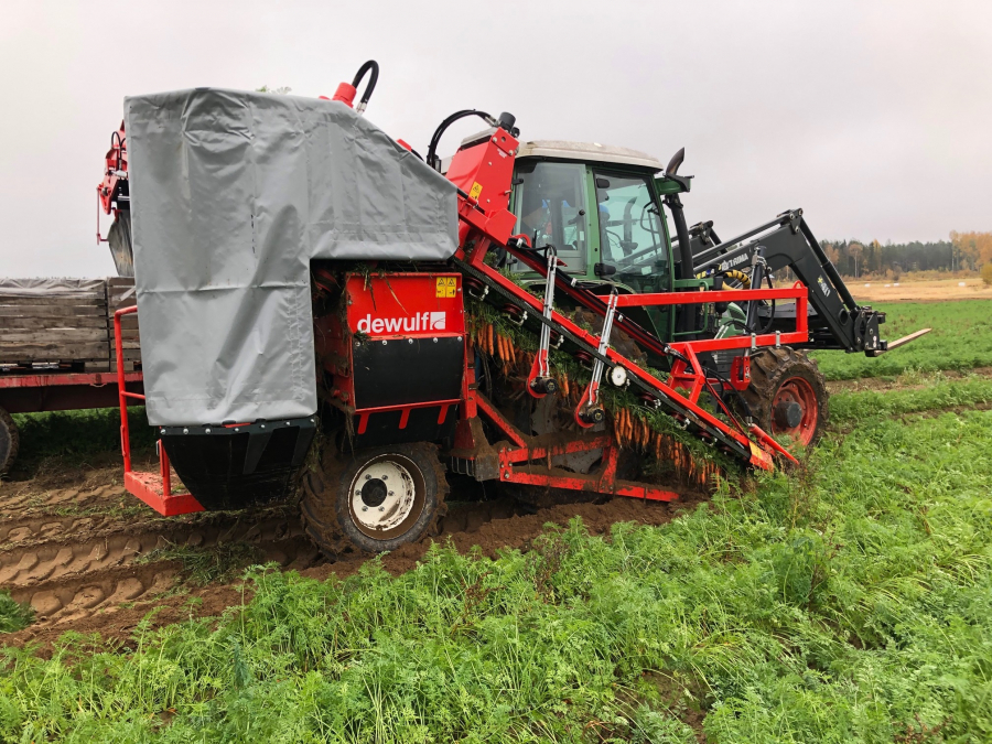 5335 Dewulf P3K carrot harvester with elevator