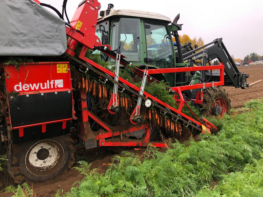 5335 Dewulf P3K carrot harvester with elevator