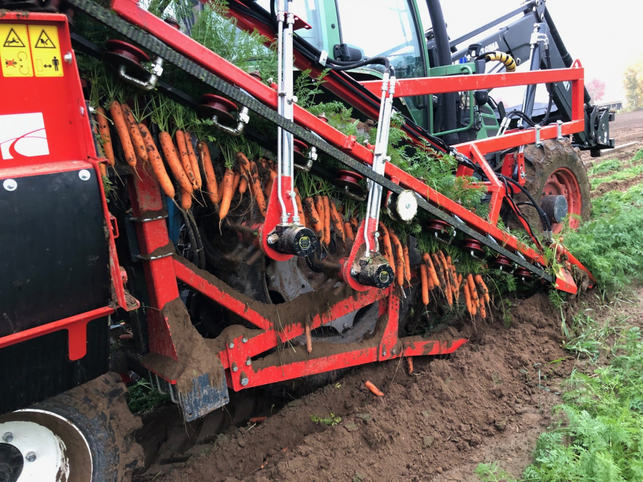 5335 Dewulf P3K carrot harvester with elevator