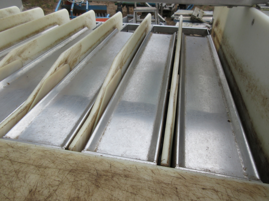 5343 Newtec 2000/G40 weigher and bagger