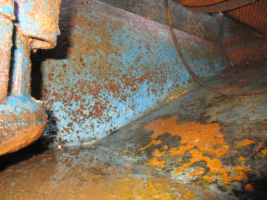 5362 EMVE potato washer WE DW1000