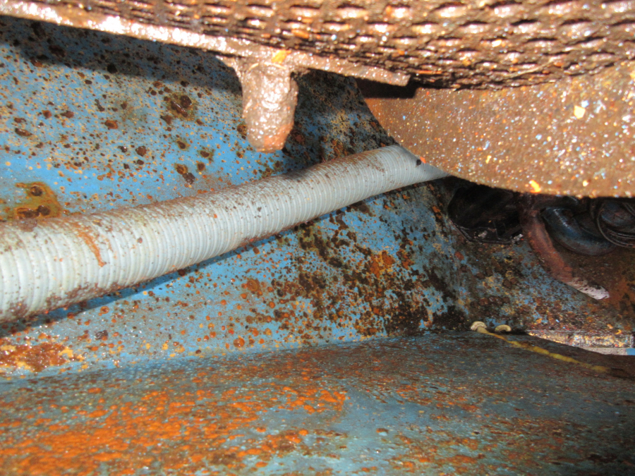 5362 EMVE potato washer WE DW1000