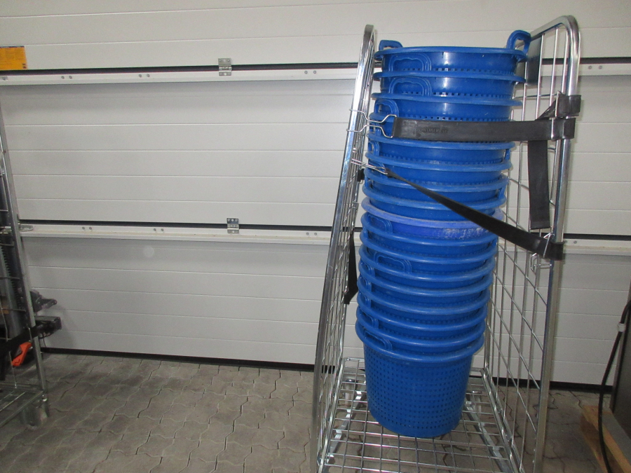 5395 Eillert CH-I-N spinner for leafy vegetables
