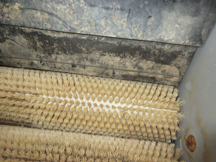5453 Skals brushing machine potato brusher 