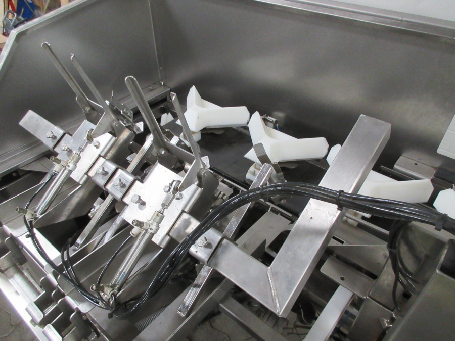 5460 Newtec tray filler NBM61 for punnets
