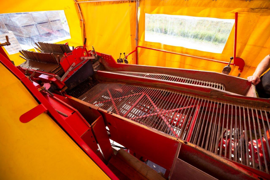 5489 Grimme SE75-40 potato harvester used second hand