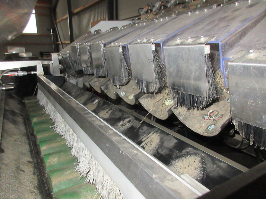 5513 Newtec 2009A apple weigher