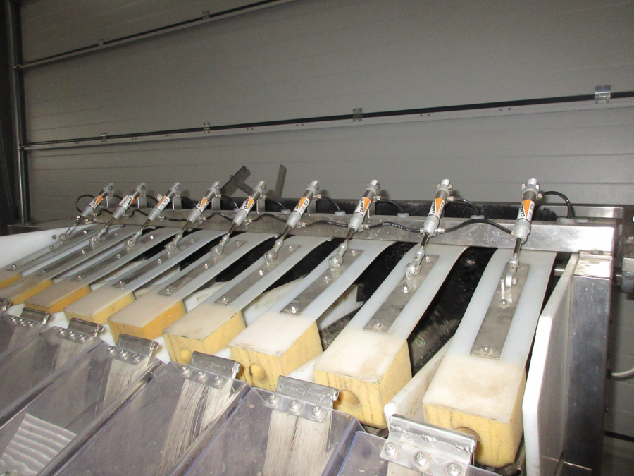 5513 Newtec 2009A apple weigher