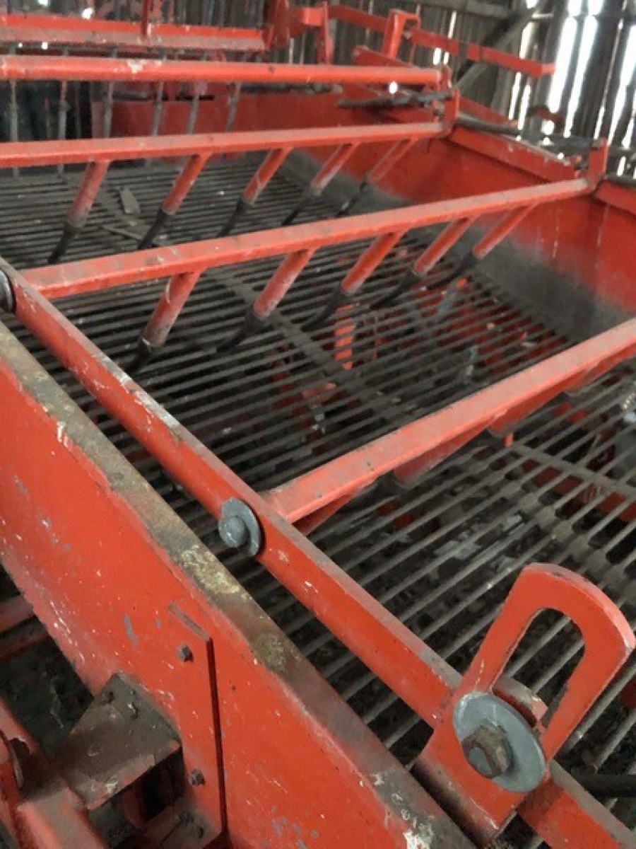 5562 AMAC E2 potato harvester / onion harvester