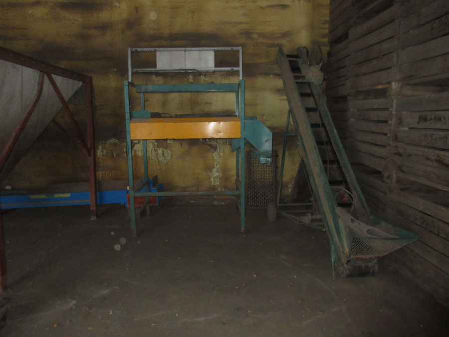 5596 Bording Kartoffelsortierer Linie