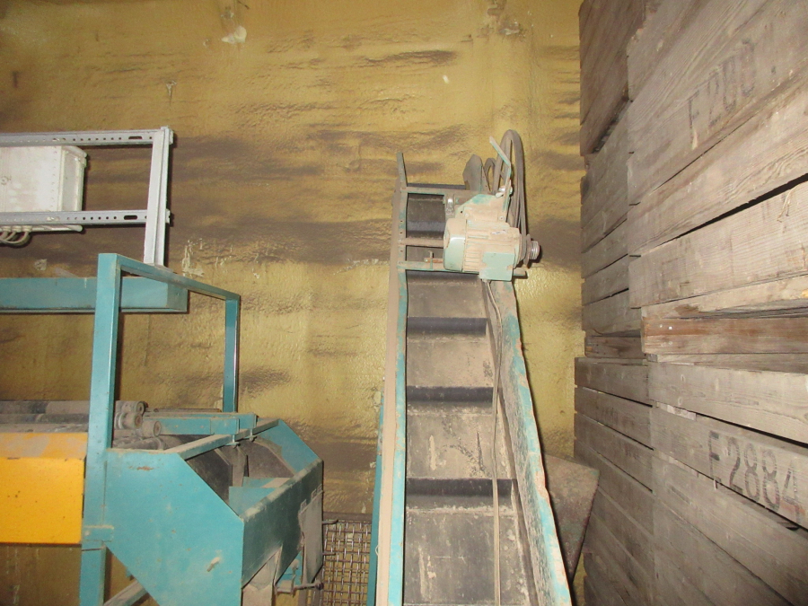 5596 Bording Kartoffelsortierer Linie