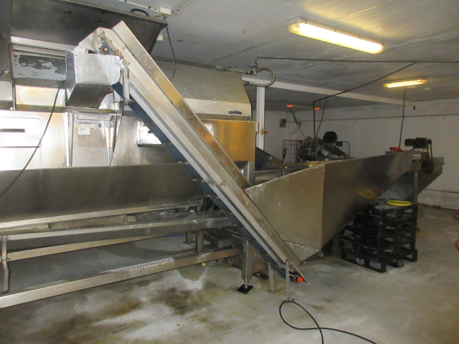 5600 PPM potatisskalare 3m