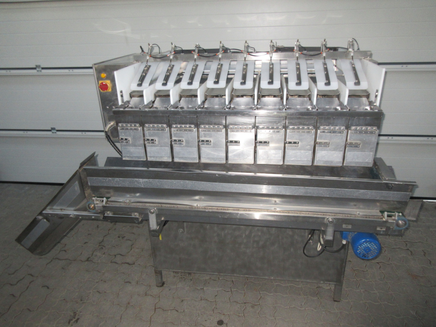 5612 Newtec 2009G linear weigher for carrots / potato