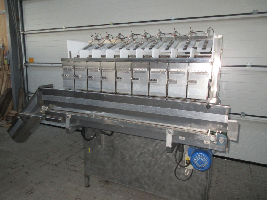 5612 Newtec 2009G linear weigher for carrots / potato