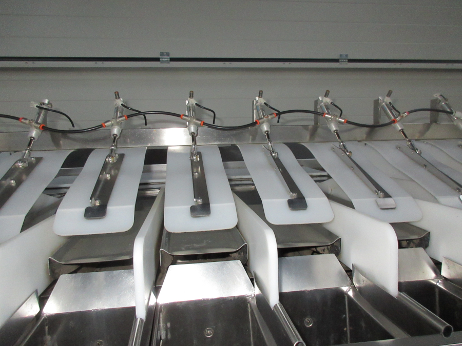 5612 Newtec 2009G linear weigher for carrots / potato