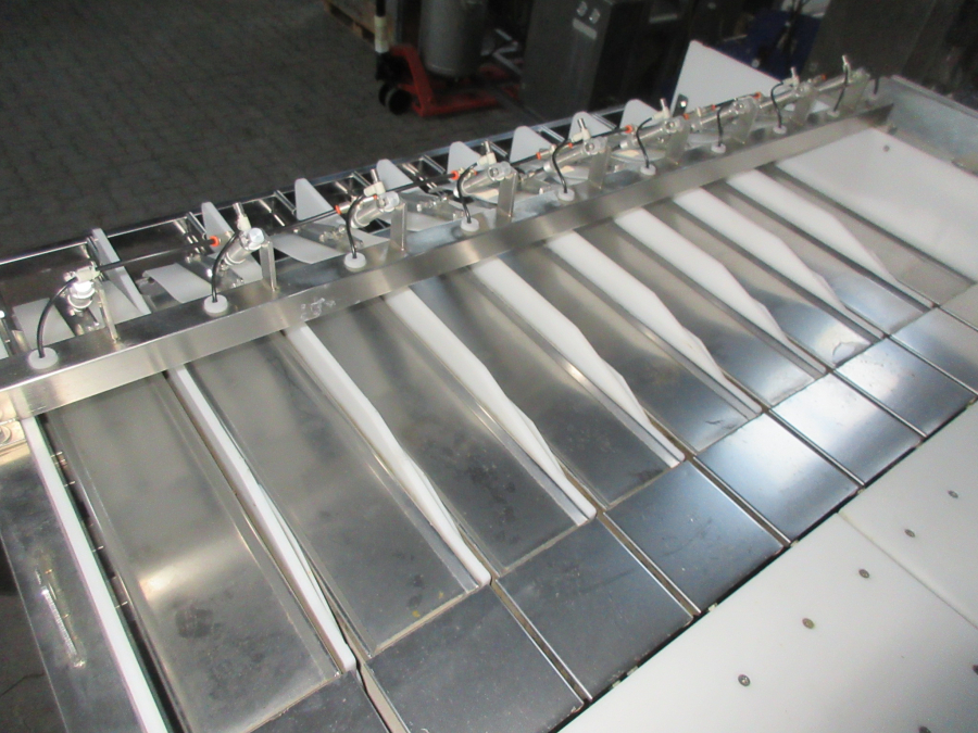 5612 Newtec 2009G linear weigher for carrots / potato